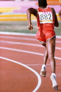 professional, qualified translator