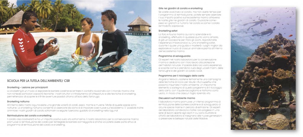 Banyan Tree Factsheet - Italian